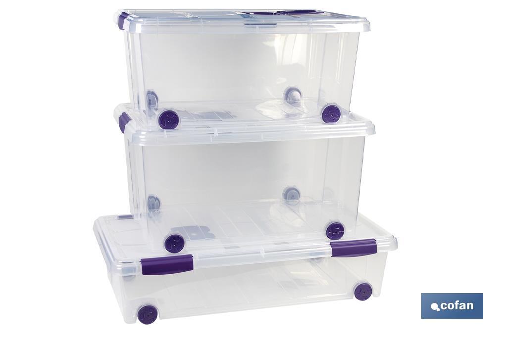 CAJA ORDENACION CON RUEDAS 36L MODELO RICORDI 59X40X25cm (PACK: 1 UDS) CAJA ORDENACION CON RUEDAS 36L MODELO RICORDI 59X40X25cm (PACK: 1 UDS)